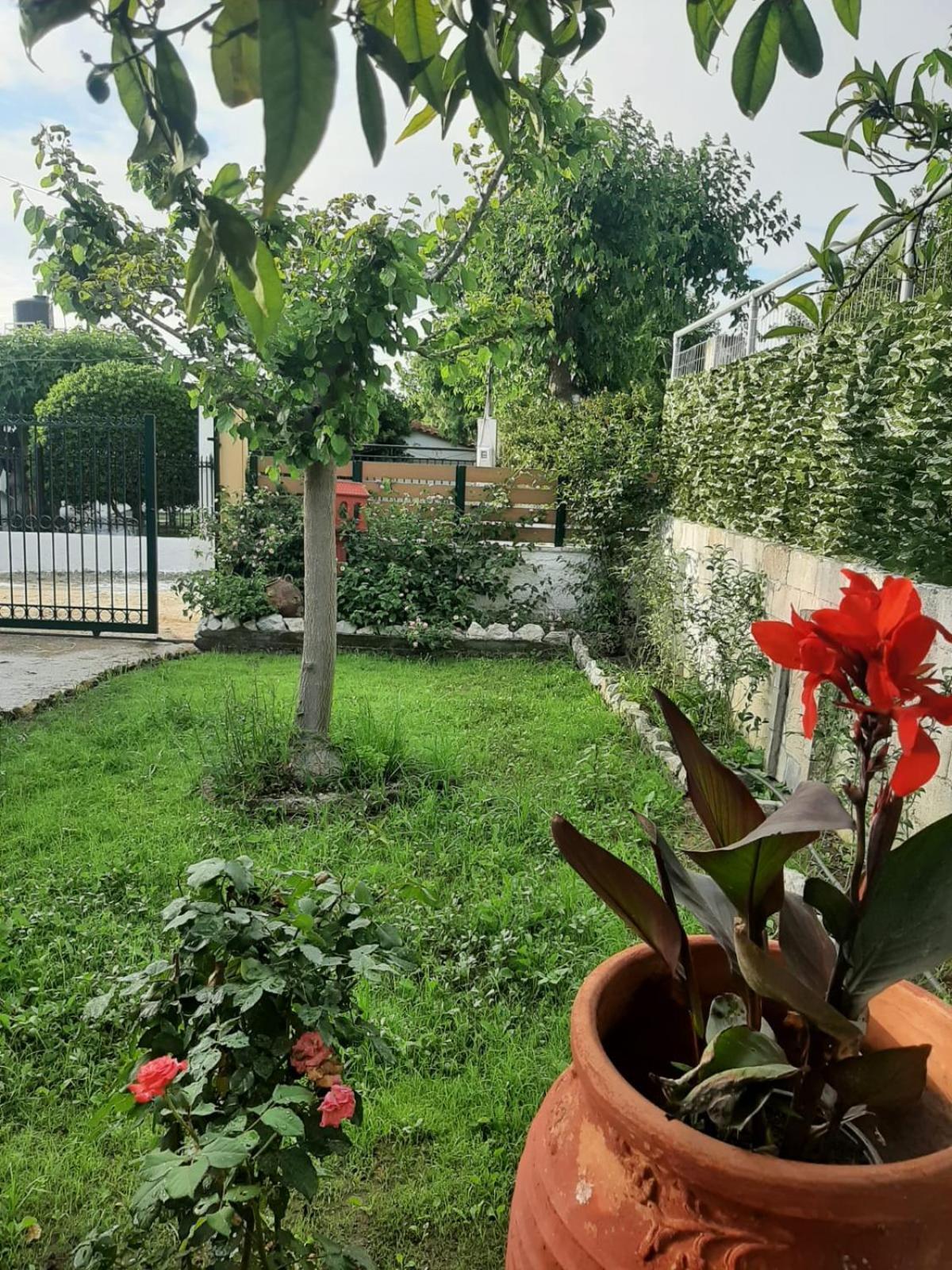 Tota'S Family House, 4 Min Walk To The Beach Levendokhorion ภายนอก รูปภาพ